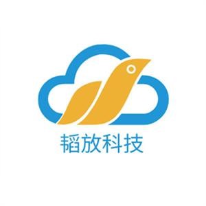 上海韬放电子科技有限公司