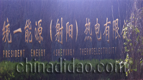 统一能源（射阳）热电有限公司