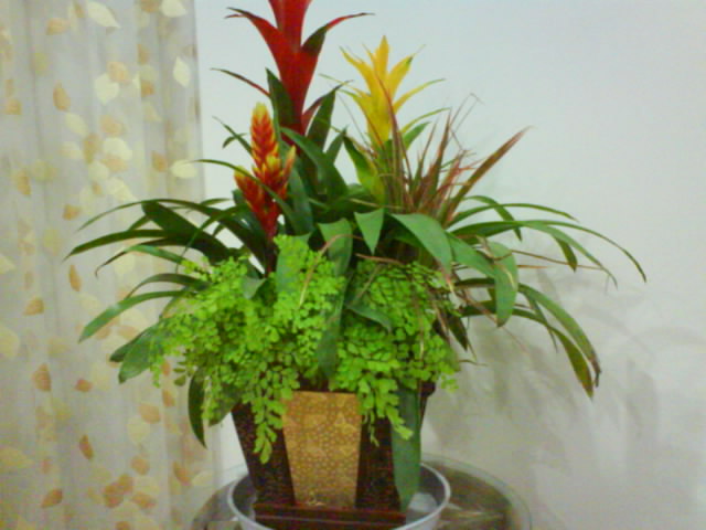 无锡金威电气有限公司