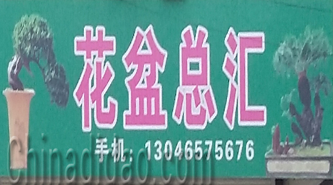 东台市唐洋镇花盆总汇