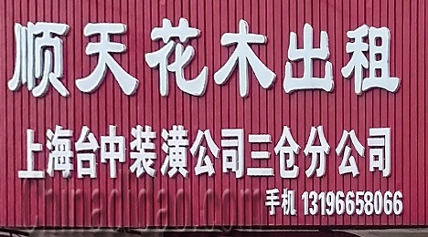 东台市三仓镇顺天花木出租