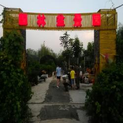 盐城经济技术开发区国林花木场