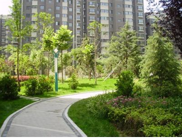 盐城市馨瑞绿化工程有限公司