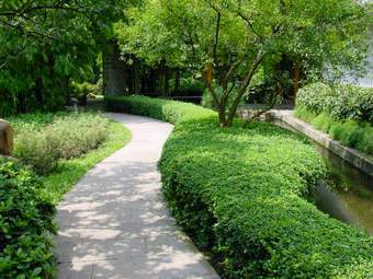 射阳县园林绿化管理局