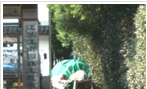 江南园林有限公司