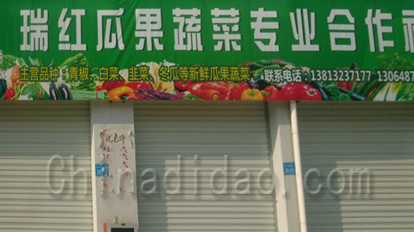 瑞红瓜果蔬菜专业合作社