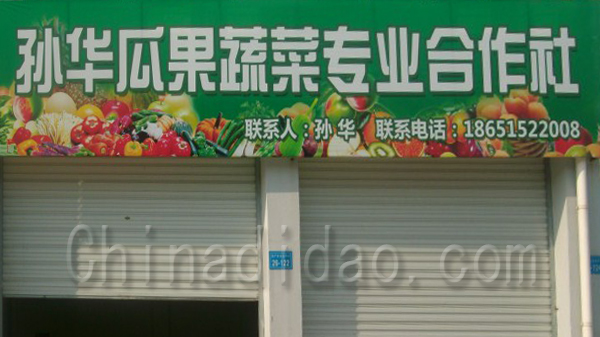 孙华瓜果蔬菜专业合作社