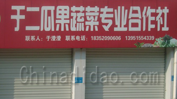 于二瓜果蔬菜专业合作社