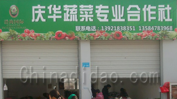 庆华蔬菜专业合作社