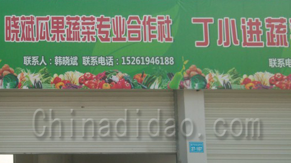 晓斌瓜果蔬菜专业合作社