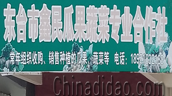 东台市头灶镇六灶小街鑫民瓜果蔬菜专业合作社