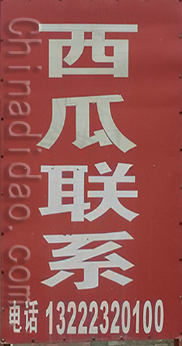 东台市三仓镇西瓜联系