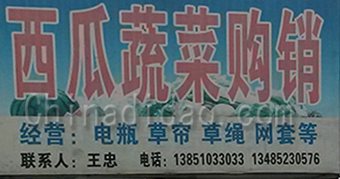 江苏省弶港农场西瓜蔬菜购销