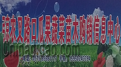 江苏省弶港农场瓜果蔬菜苗木购销信息中心