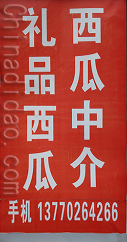 东台市三仓镇西瓜中介