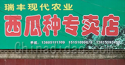 东台市三仓镇西瓜种专卖店