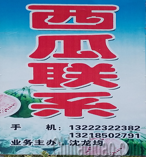 东台市三仓镇西瓜销售