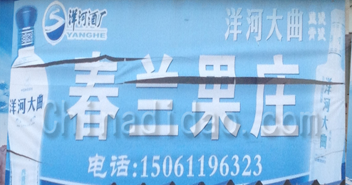 东台市头灶镇春兰果庄