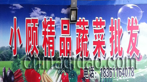 小顾精品蔬菜批发