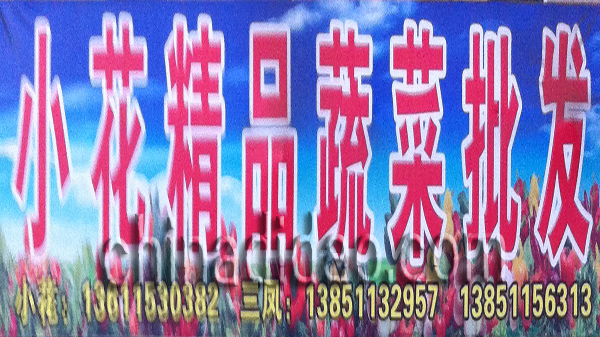 小花蔬菜批发行