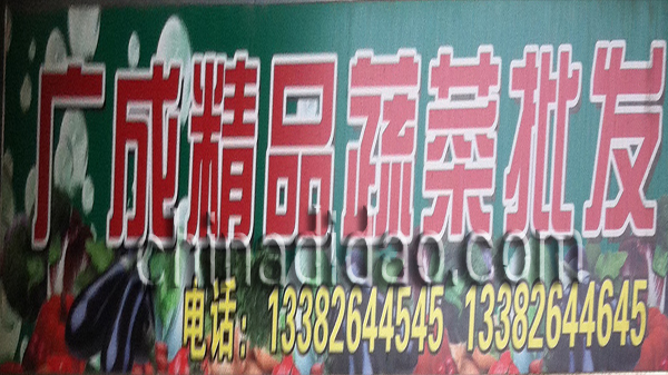 广成精品蔬菜批发
