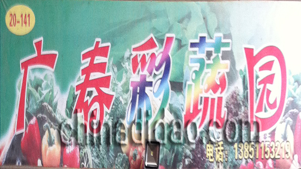 广春彩蔬园