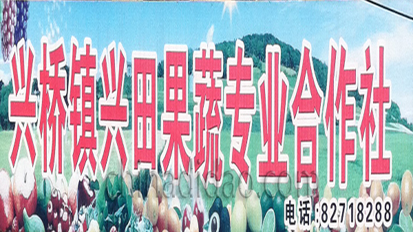 兴桥镇兴田果蔬专业合作社