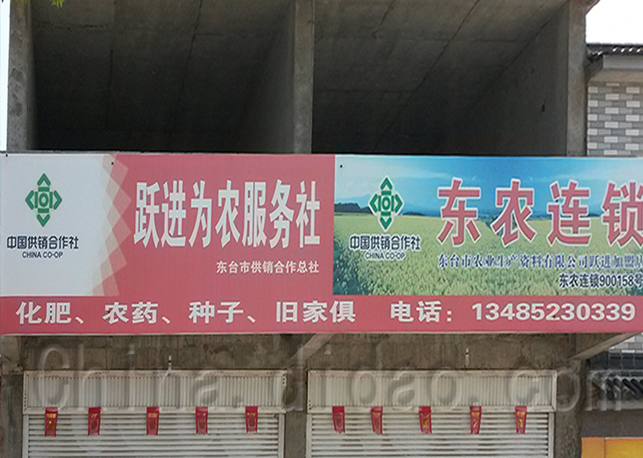 跃进为农服务社  东农连锁