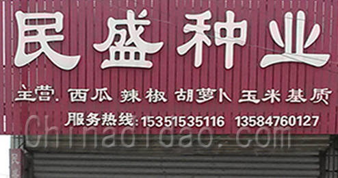 东台市三仓镇民盛种业