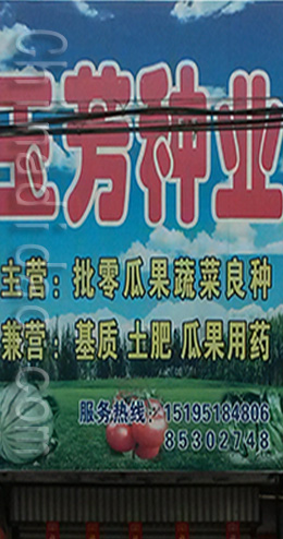东台市三仓镇玉芳种业