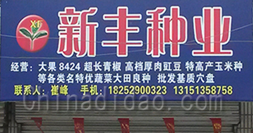 东台市三仓镇新丰种业