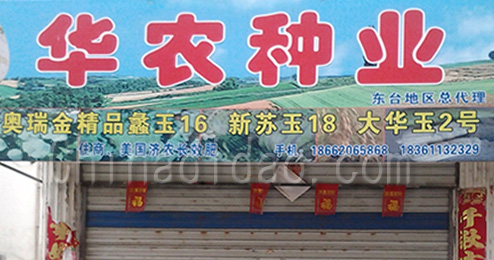 东台市南沈灶镇华农种业