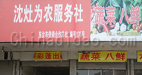 东台市南沈灶镇为农服务社