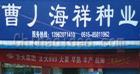 东台市曹撇镇海洋种业