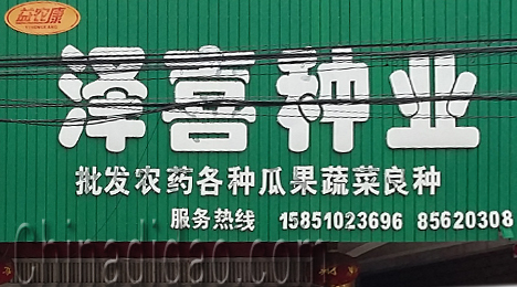 东台市三仓镇泽喜种业