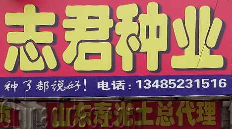 东台市三仓镇志君种业