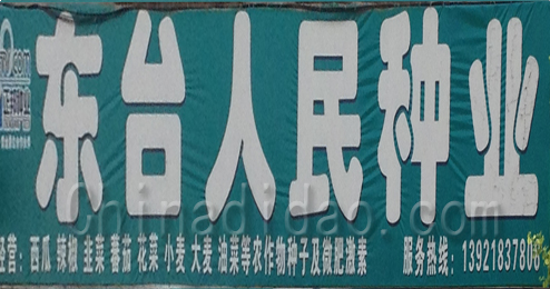 东台市头灶镇人民种业