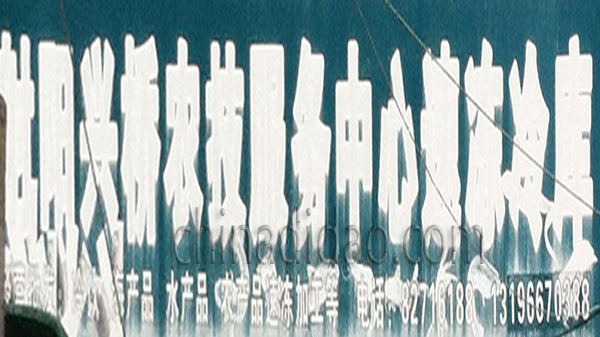 兴桥农技服务中心 速冻冷库