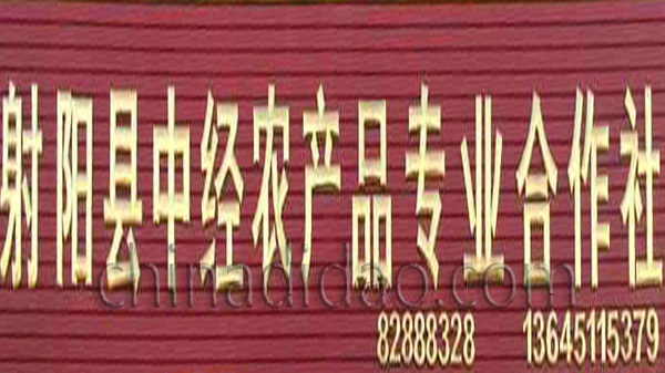 射阳县中经农产品专业合作社