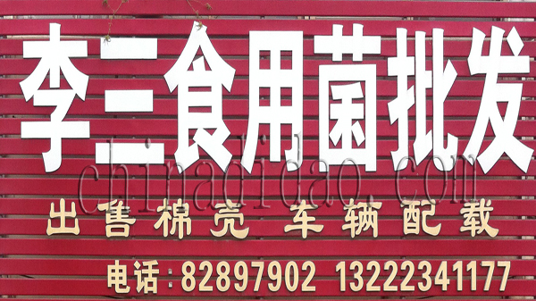 李三食用菌批发