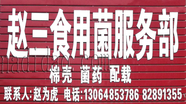 赵三食用菌服务部