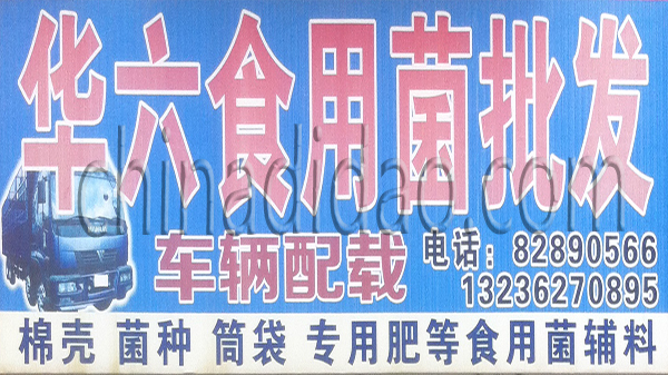 华六食用菌批发