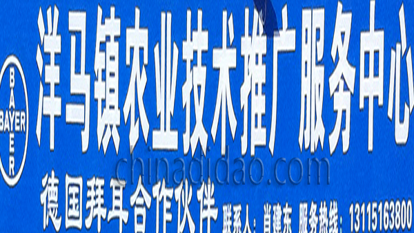 洋马镇农业科技推广服务中心