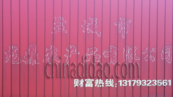 盐城市龙鼎农产品有限公司