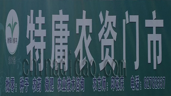 特庸农资门市