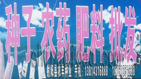 种子 化肥 农药批发