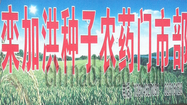 栾加洪种子农药门市部