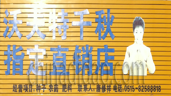 沃夫特千秋指定直销店