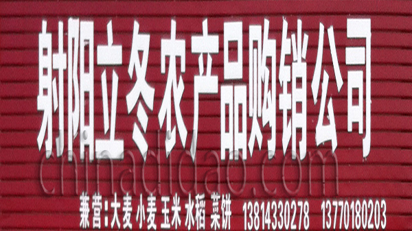 射阳立冬农产品购销公司