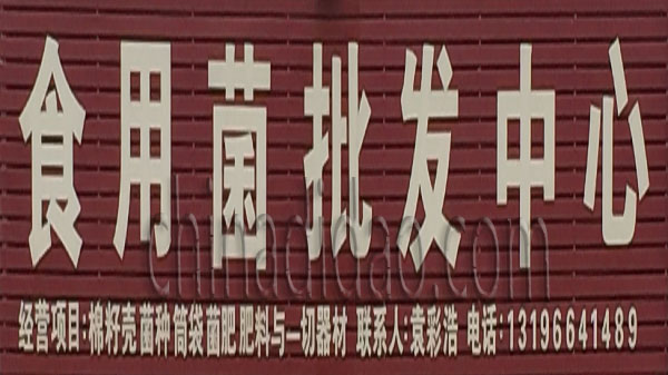 食用菌批发中心